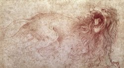 Sketch Of A Roaring Lion by Leonardo da Vinci