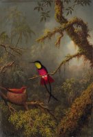 A Pair of Nesting Crimson Topaz Hummingbirds by Martin Johnson Heade