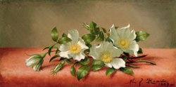 Cherokee Roses by Martin Johnson Heade