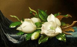 Magnolias on Blue Velvet Couch by Martin Johnson Heade