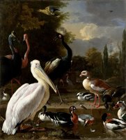 A Pelican And Other Birds Near a Pool, Known As 'the Floating Feather' by Melchior de Hondecoeter