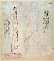 Anatomical Drawings with Accompanying Notes by Michelangelo Buonarroti
