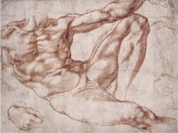 Michelangelo Study for Adam by Michelangelo Buonarroti