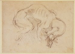 Study of a Dog by Michelangelo Buonarroti