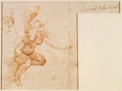 Study of a Female Nude by Michelangelo Buonarroti