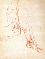 Study of a Lower Leg And Foot by Michelangelo Buonarroti