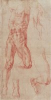 Study of a Male Nude Stretching Upwards by Michelangelo Buonarroti