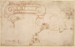 Study of an Ionic Capital by Michelangelo Buonarroti