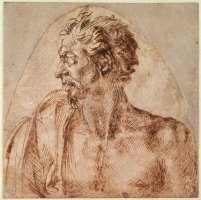 Study of Head And Shoulders by Michelangelo Buonarroti