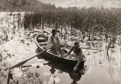 Gathering Waterlilies by Peter Henry Emerson