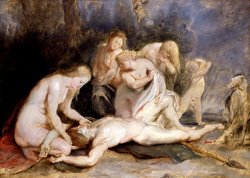 Venus Mourning Adonis by Peter Paul Rubens