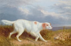 A Setter on the Moor by Philip Reinagle