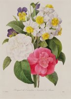 Camellias Narcissus And Pansies by Pierre Joseph Redoute