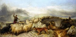Collecting The Sheep for Clipping in The Highlands by Richard Ansdell