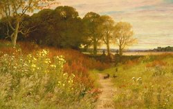 Landscape with Wild Flowers and Rabbits by Robert Collinson