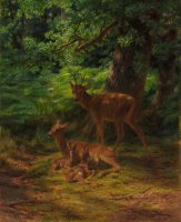 Deer in Repose by Rosa Bonheur