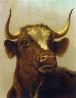 Head of a Bull by Rosa Bonheur