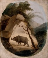 The Indian Rhinoceros by Thomas Daniell