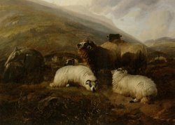Sheep in The Highlands by Thomas Sidney Cooper