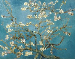 Almond Blossoms by Vincent van Gogh