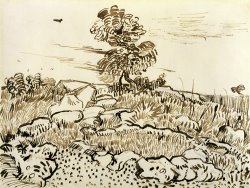 Rocky Ground at Montmajour by Vincent van Gogh