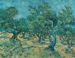 The Olive Grove by Vincent van Gogh