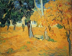 The Park at Saint Pauls Hospital Saint Remy by Vincent van Gogh