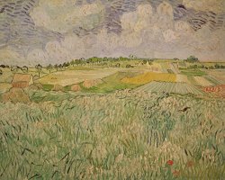 The Plain At Auvers by Vincent van Gogh