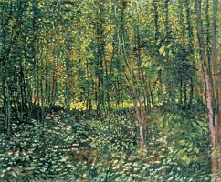 Trees and Undergrowth by Vincent van Gogh