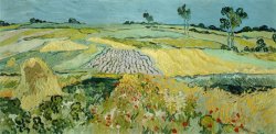 Wheatfields Near Auvers-sur-oise by Vincent van Gogh