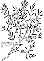 Olive Branch Simplified In Decor by Walter Crane