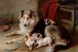 A Collie with Fox Terrier Puppies by Walter Hunt
