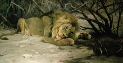 Lion Reclining in a Landscape by Wilhelm Kuhnert