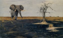 The Lone Elephant by Wilhelm Kuhnert