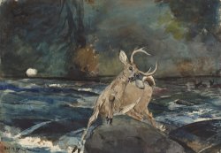 A Good Shot, Adirondacks by Winslow Homer