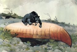Bear And Canoe by Winslow Homer