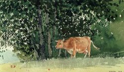 Cow in Pasture by Winslow Homer