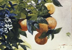 Oranges on a Branch by Winslow Homer