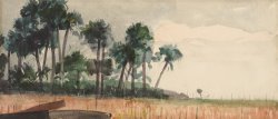 Palm Trees, Red by Winslow Homer