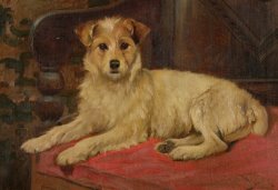 A Terrier on a Settee by Wright Barker