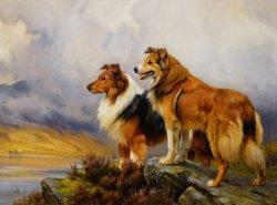 Two Collies Above a Lake by Wright Barker