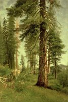 California Redwoods by Albert Bierstadt