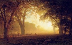 Golden Light of California by Albert Bierstadt
