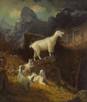 Rocky Mountain Goats by Albert Bierstadt