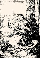 Madonna With The Pear Engraving by Albrecht Durer