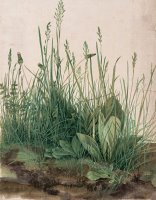 The Large Piece of Turf, 1503 by Albrecht Durer
