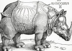 The Rhinoceros by Albrecht Durer