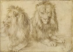 Two Seated Lions by Albrecht Durer