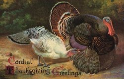 Thanksgiving Greetings by American School
