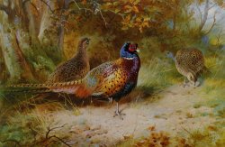 Autumn Covert by Archibald Thorburn